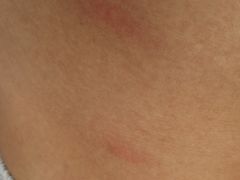 -汕尾巴黎半岛酒店