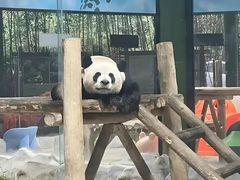 -栾川竹海野生动物园
