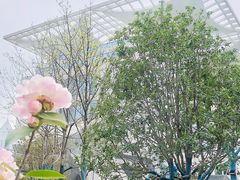-人民广场