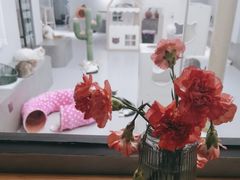 -Cappucimeow猫咪咖啡馆(韦伯时代店)