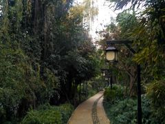 -成都市活水公园
