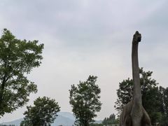 -西部长青自然儿童乐园