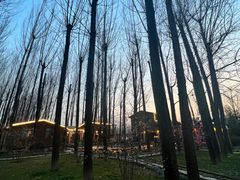 -林间山庄