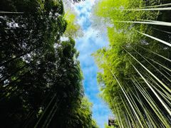 -良渚古城遗址公园
