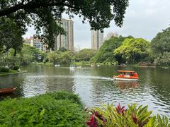 -晓港公园