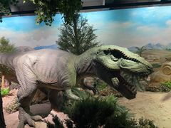 -国家自然博物馆