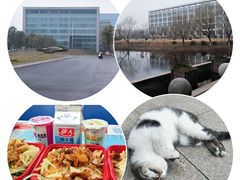 -扬州大学(扬子津校区)