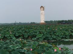 -白洋淀景区