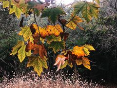 -河南省黄河迎宾馆