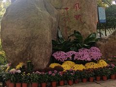 -上海方塔园