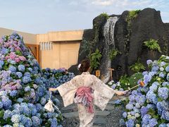 -Blue Concept Cafe&Farm·關於藍