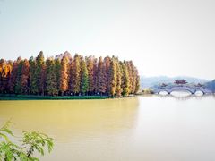 -星湖旅游景区七星岩