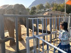 -新疆天山野生动物园