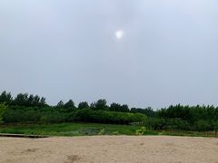 -东郊湿地公园