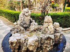 -白家大院·王府宫廷菜(苏州街店)