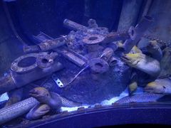 -成都浩海立方海洋公园