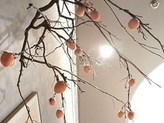 -老阿爸鲜鱼土菜(园区永旺店)