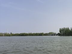 -溱湖国家湿地公园