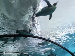 -珠海长隆海洋王国