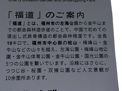 -福道