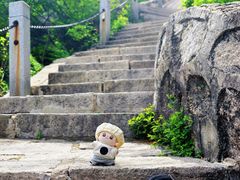 -北京凤凰岭