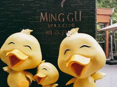 -明谷行馆·温泉