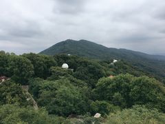 -紫金山天文台