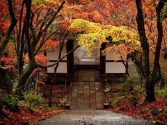 -常寂光寺