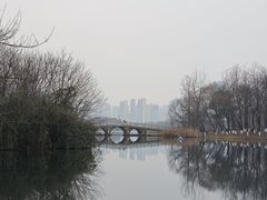 -洋湖国家湿地公园