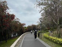 -立新湖公园