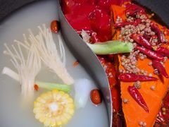 -阳阳老火锅(小南门店)