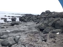-涉地可支