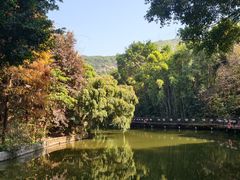 -月亮湾公园