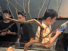 -喜茶(深圳万象城黑金店)