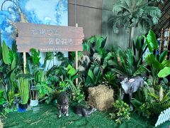 -南宁那莲豪华精选酒店-云霄酒廊·80楼高空城景酒吧