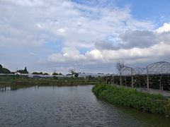 -马陆小张葡萄园农家乐