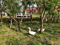 -中国浦东干部学院
