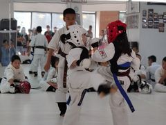 -极真空手道修远道场