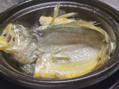 -菉雅苑·湛江菜(前海卓越INTOWN店)