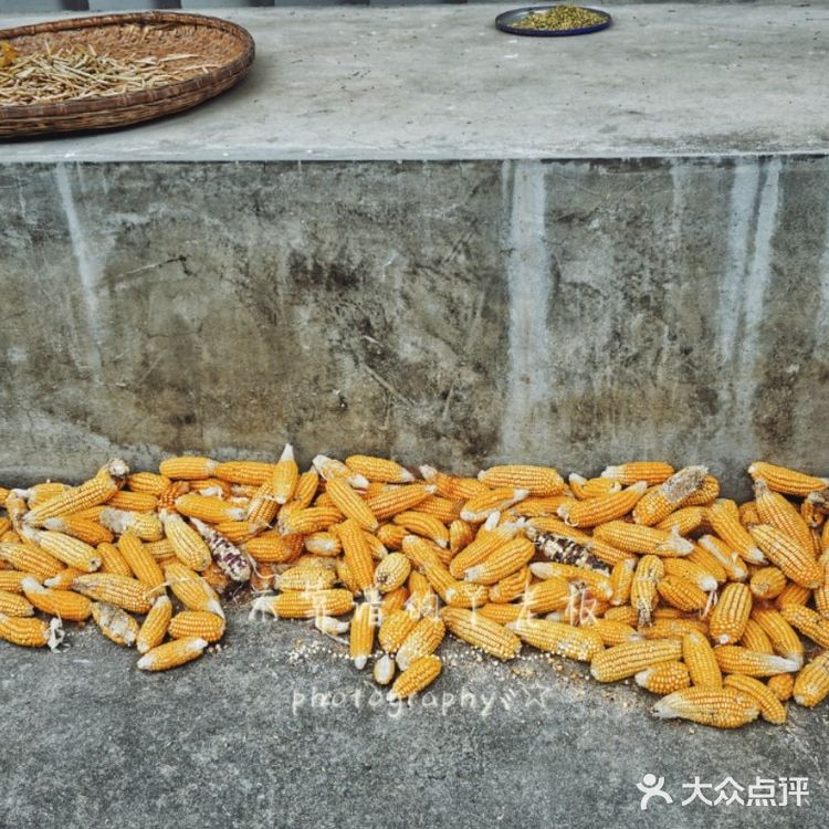 逃离钢筋水泥混凝土计划②。