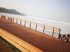 -丁香湖公园