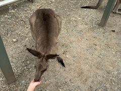-可伦宾野生动物保护区