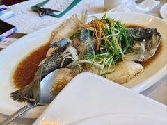 -荣誉海鲜酒楼(海湾店)