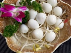 -蓉城江北老灶火锅(春熙路店)