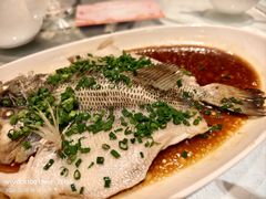 -北京歌华开元大酒店