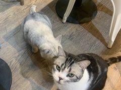 -小时光咖啡馆(开森度假森林店)