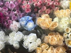 -循礼门鲜花花市(武汉循礼门店)