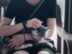 -灵美宠物诊所