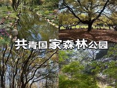 -上海共青森林公园