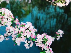 -海棠花溪(元大都城垣遗址公园)